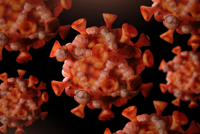 Mpox avança? Brasil já soma 81 casos em 2026