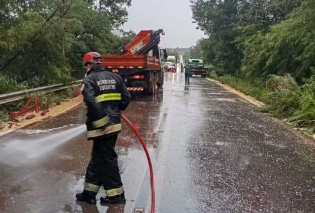 Tragédia na TO-080: desvio de animais termina em morte