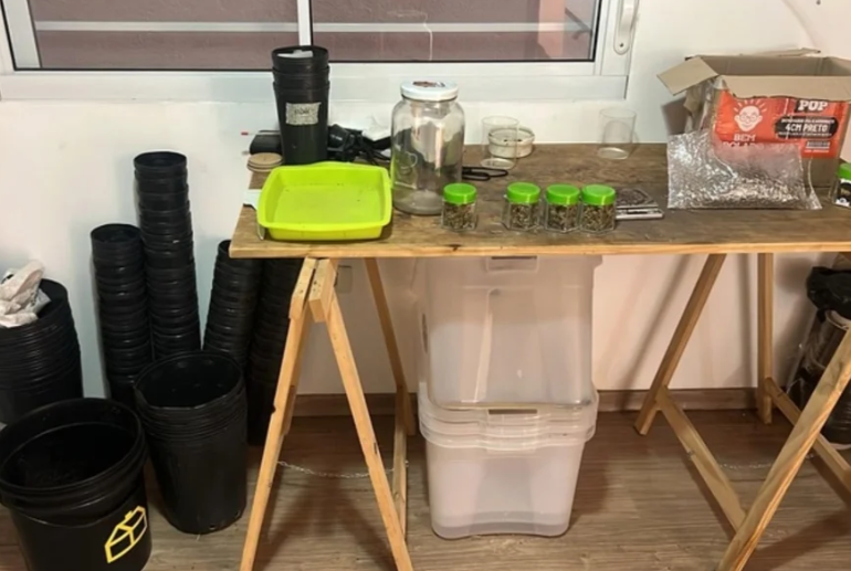 PF mira grupo que vendia droga por até R$ 50 mil o quilo