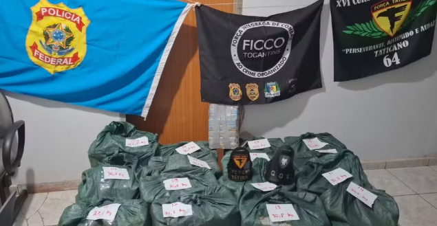 Flagrante chocante: droga escondida em carga de abacaxi