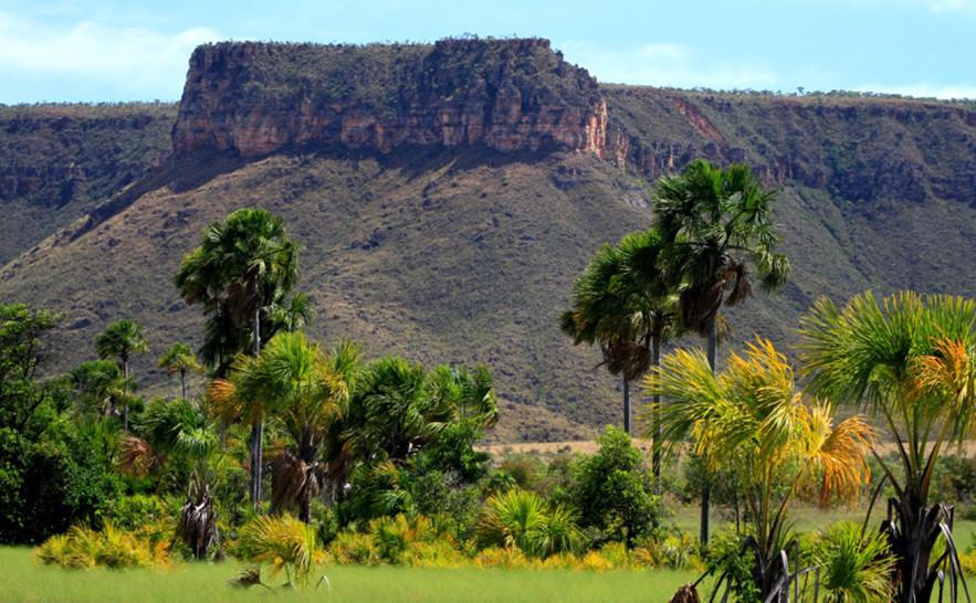 Com fortalecimento da gestão ambiental, Tocantins conquista 1º lugar em sustentabilidade no país
