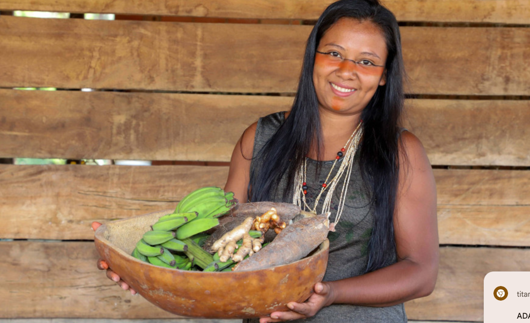Governo do Tocantins destaca ações de turismo ecológico e agricultura familiar em comunidades tradicionais durante a Agrotins 2026