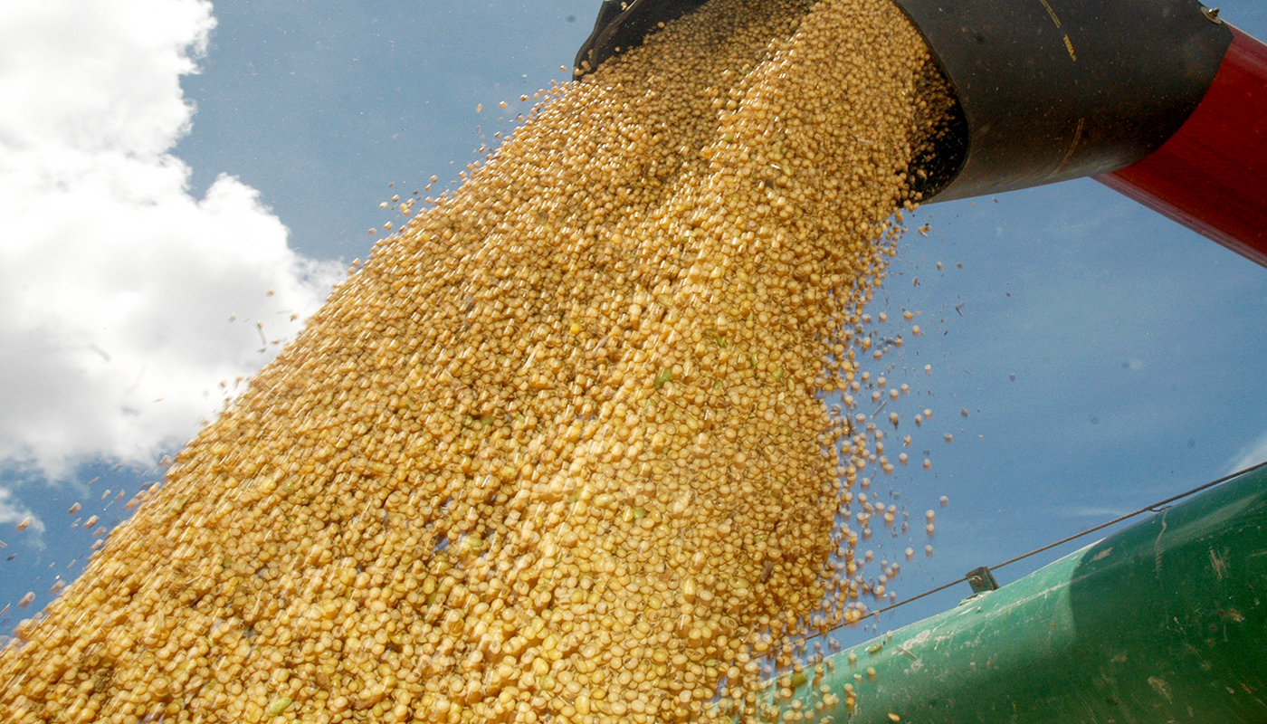 Tocantins amplia estimativa de produção agrícola em 28,4 mil toneladas e se destaca entre os maiores avanços do país