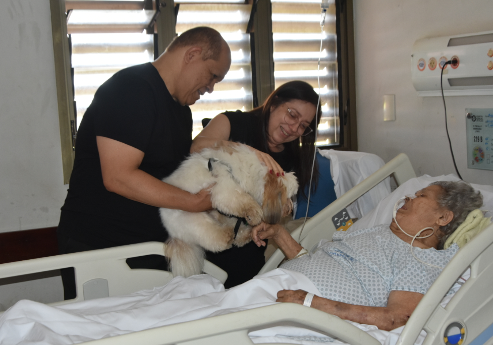 Screenshot 2026-06-18 15.09.45 HGP promove encontro especial entre paciente e cachorro de estimação