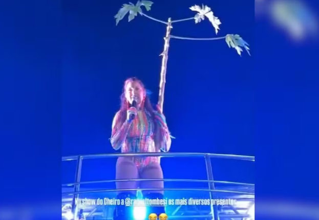 Screenshot 2026-07-20 16.21.52 Cantora do Cheiro de Amor se diverte após ganhar pé de mamão em show no Tocantins