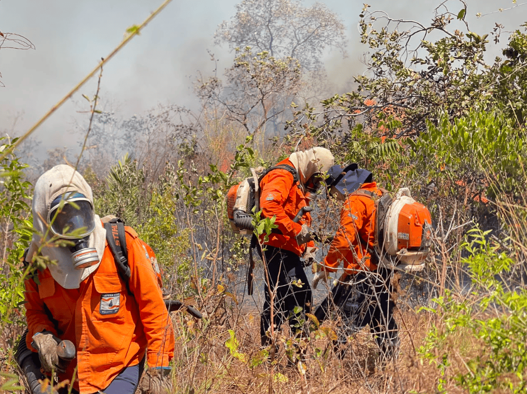Defesa Civil de Palmas fecha o mês de agosto com 106 ações de combate a incêndios registradas