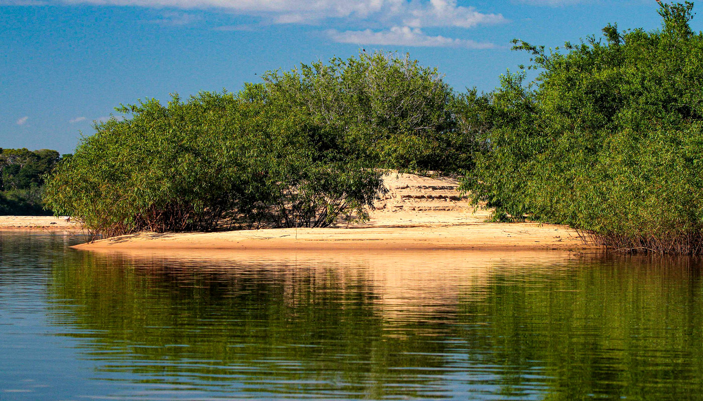F1 Recursos do Fundo Amazônia serão utilizados no monitoramento ambiental e no combate -Fernando Alves-Governo do Tocantins Governo do Tocantins garante R$ 88 milhões para impulsionar política ambiental em 2027