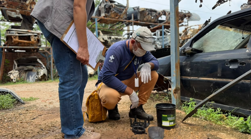 Saúde de Palmas utiliza armadilhas que transformam o próprio mosquito em aliado no combate à dengue
